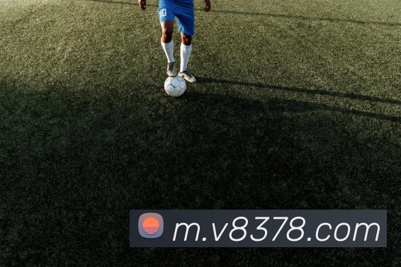 威尼斯中国网站APP 封面图